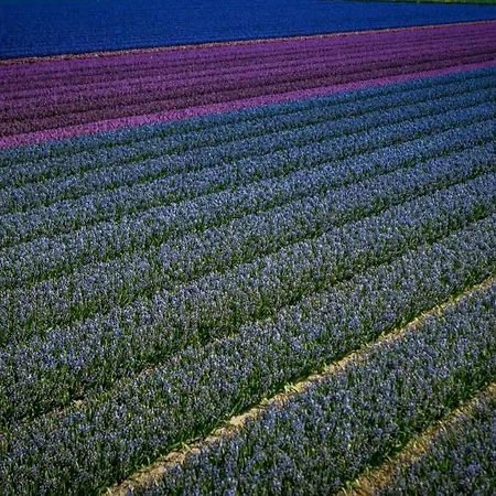 Hébergement de vacances Vacationvilla