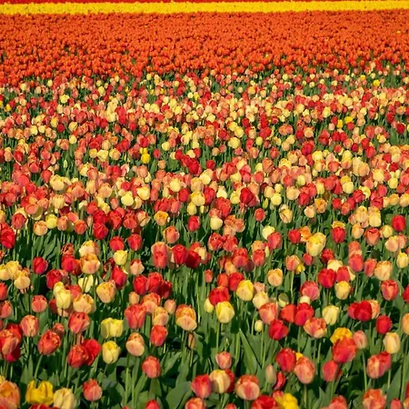 Vacationvilla Hébergement de vacances *