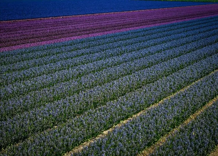 別荘 Vacationvilla