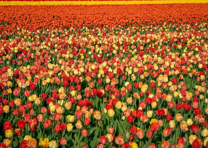 Vacationvilla 別荘 *